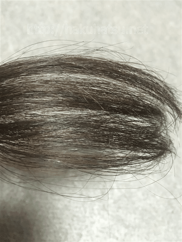 セルフカラーノート白髪染め サイオス オレオクリーム 美容師パパ セルフヘアカラーリスト Note