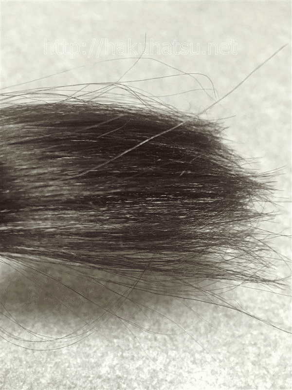 セルフカラーノート白髪染め サイオス オレオクリーム 美容師パパ セルフヘアカラーリスト Note