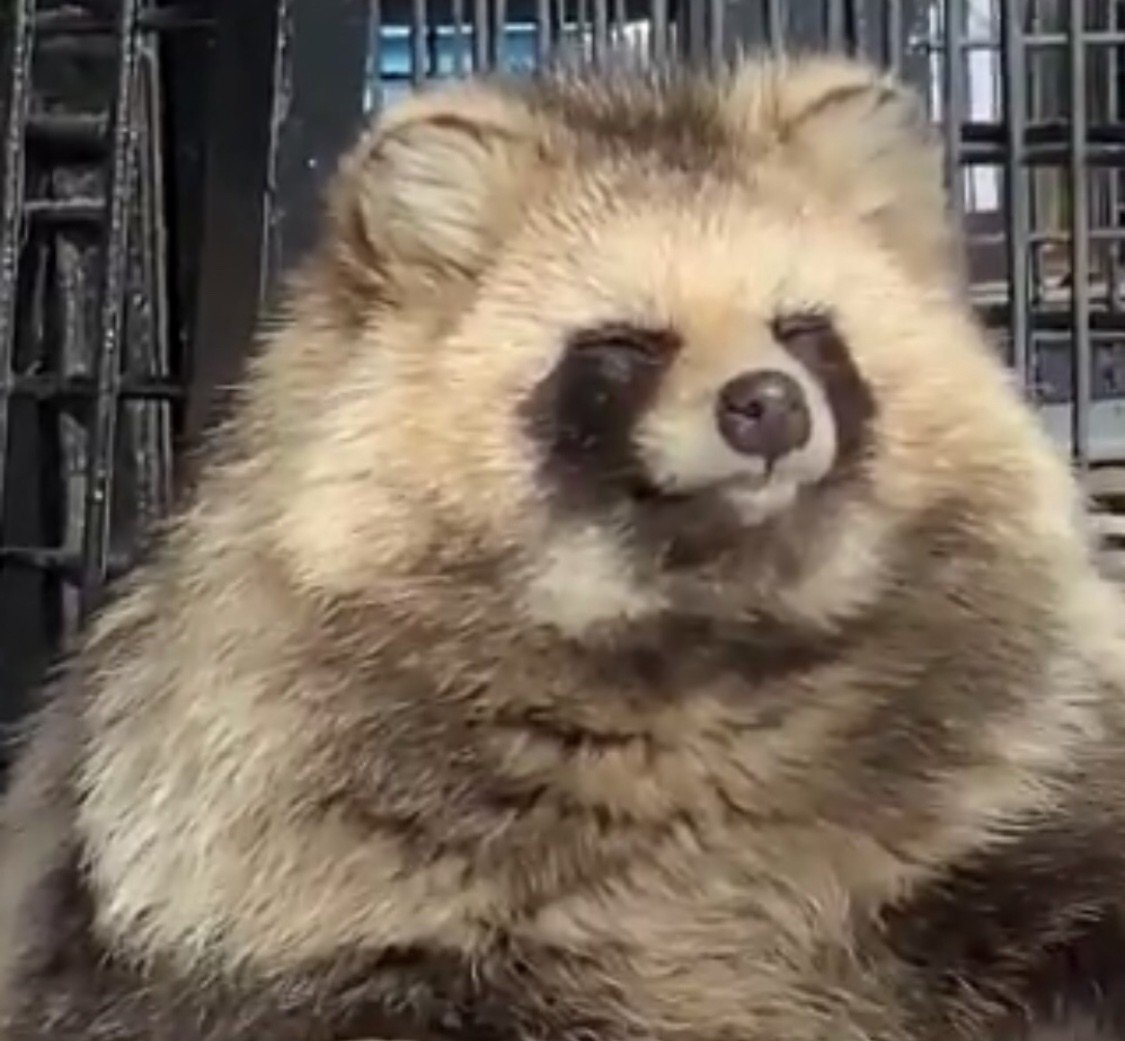 さん パイプ お守り 椅子