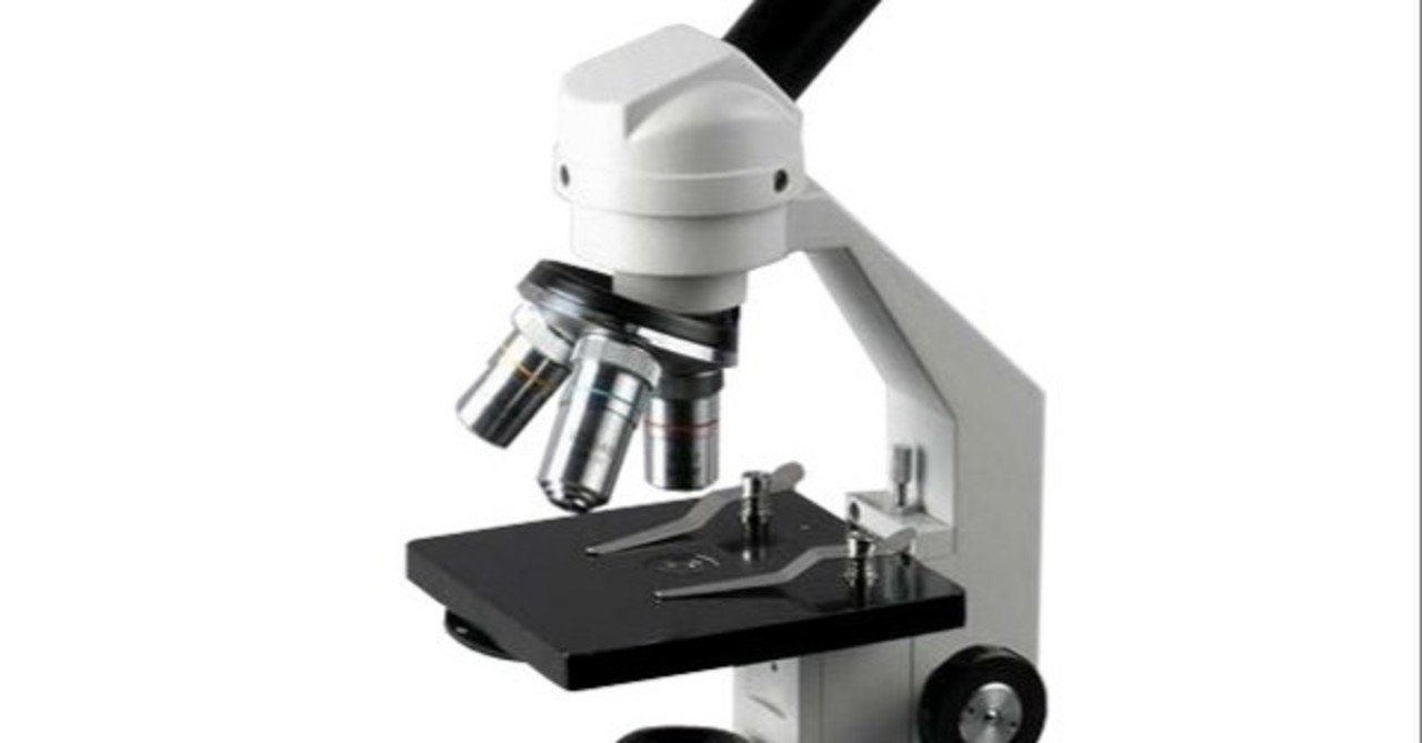 顕微鏡写真を撮る 中学理科 小学校理科 Roll Note 顕微鏡写真を撮る 中学理科 小学校理科 Roll Note