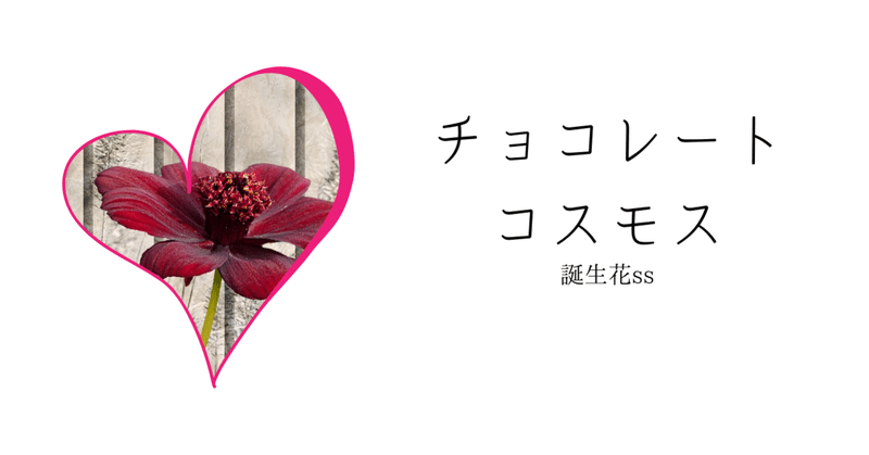チョコレートコスモス 誕生花ss てい Note