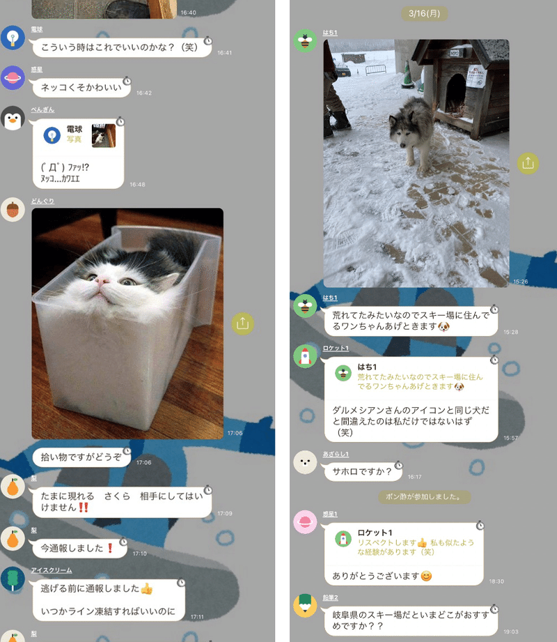 スノボぬさん