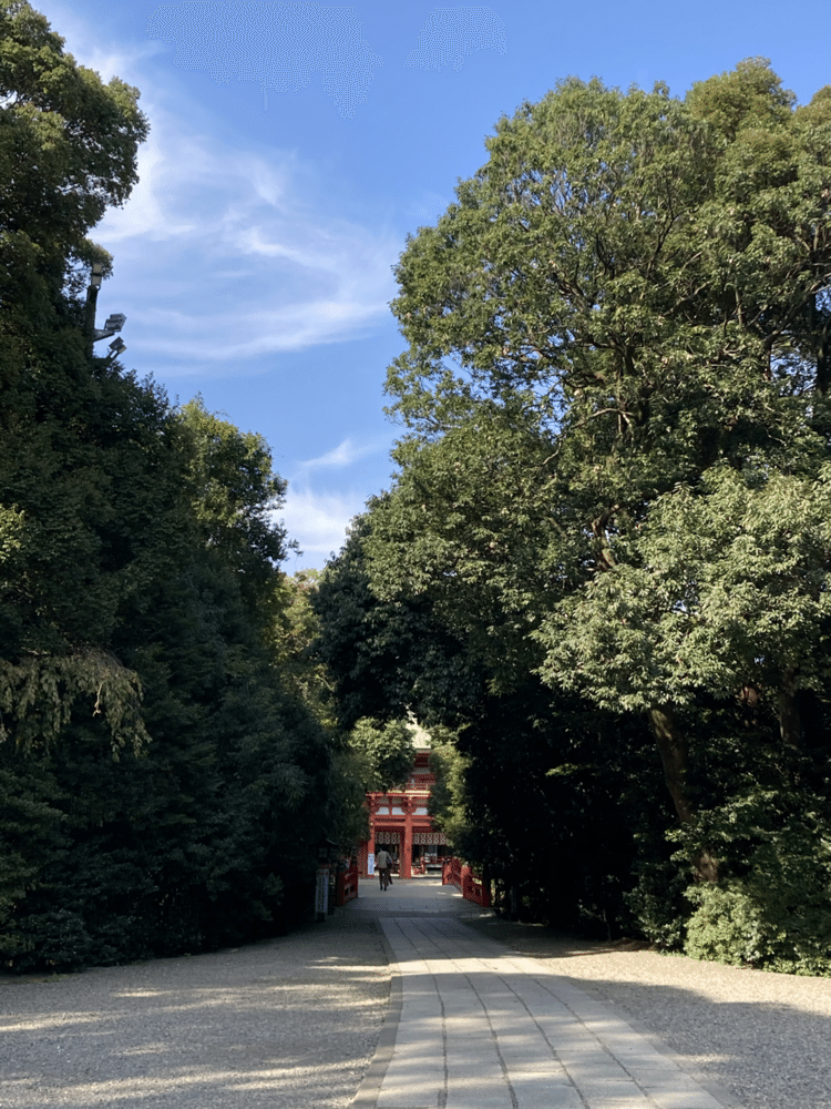 #写真　#iPhone #1000日チャレンジ　#氷川神社　