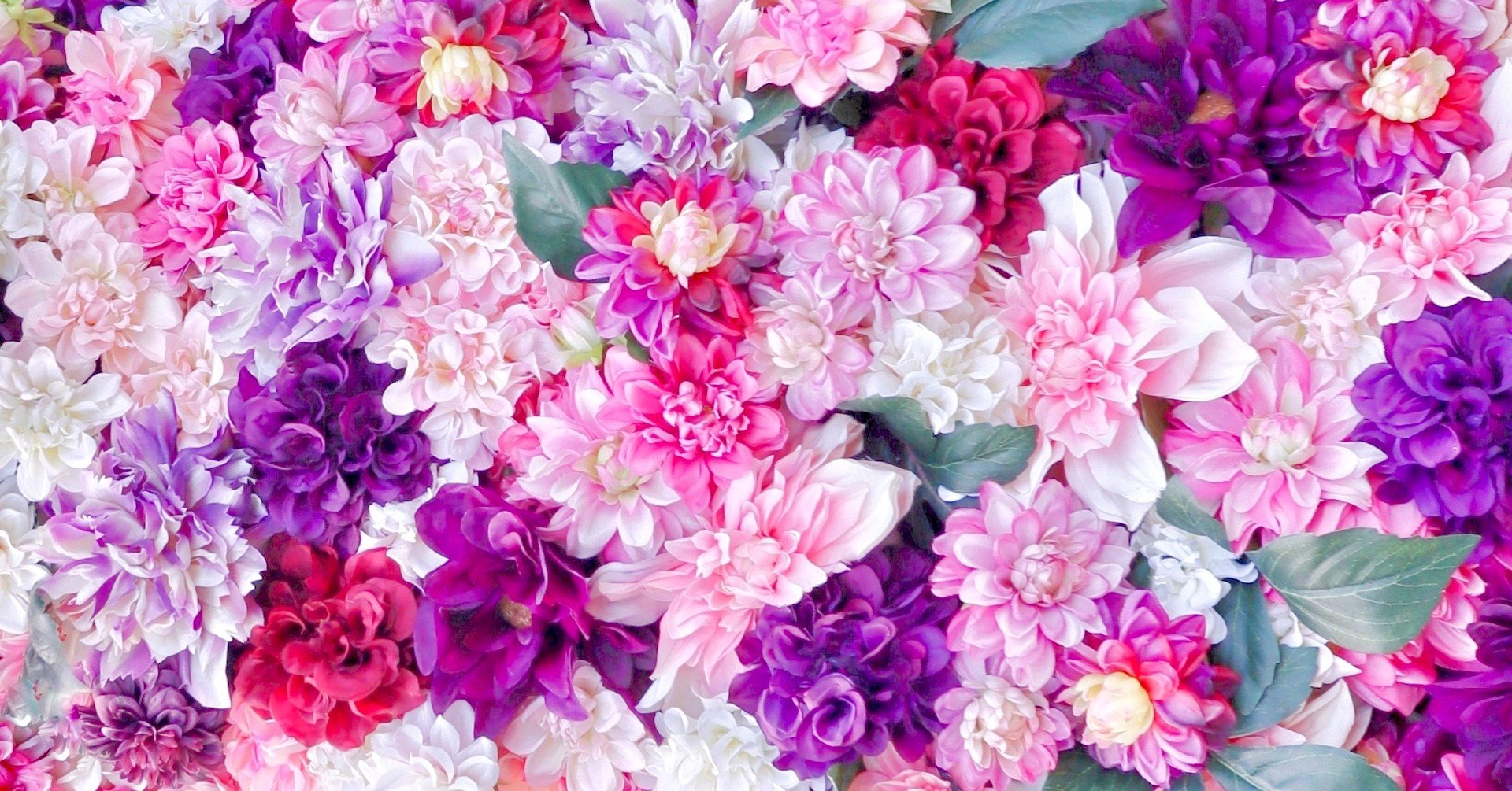 全人類フラスタ出して こうすれば出ます 室井 Note