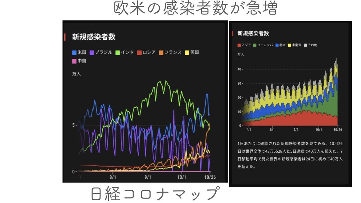 画像12