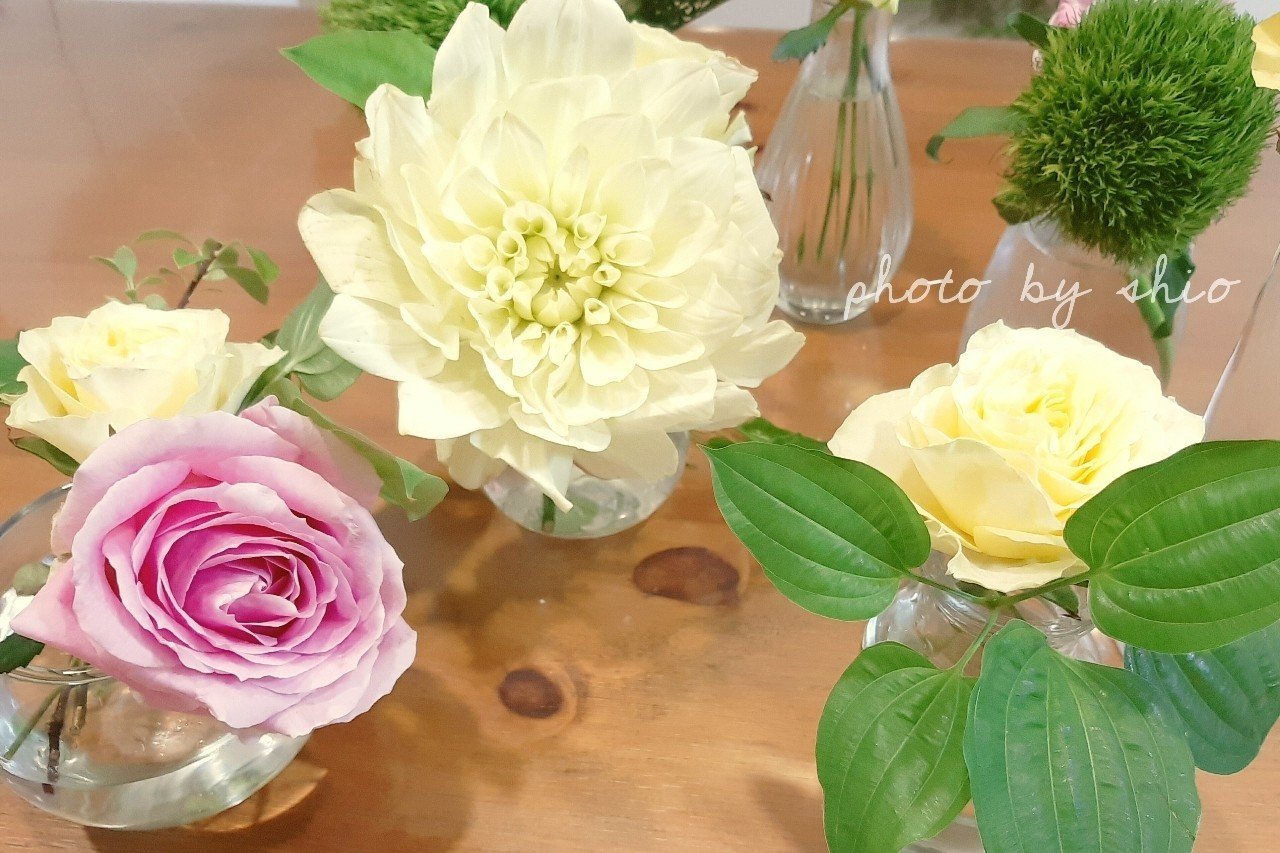 花のある暮らし 天運教会 Shio味 ブログ キリスト教福音宣教会 Note