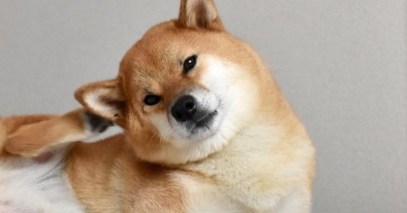 愛犬が手足を痒がる 舐める 原因と対処法 Inuo Note