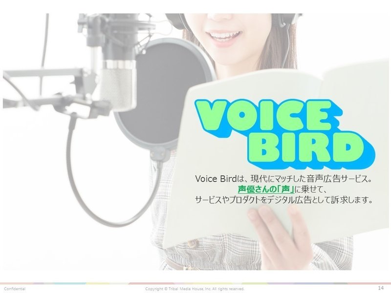 voicebird概要