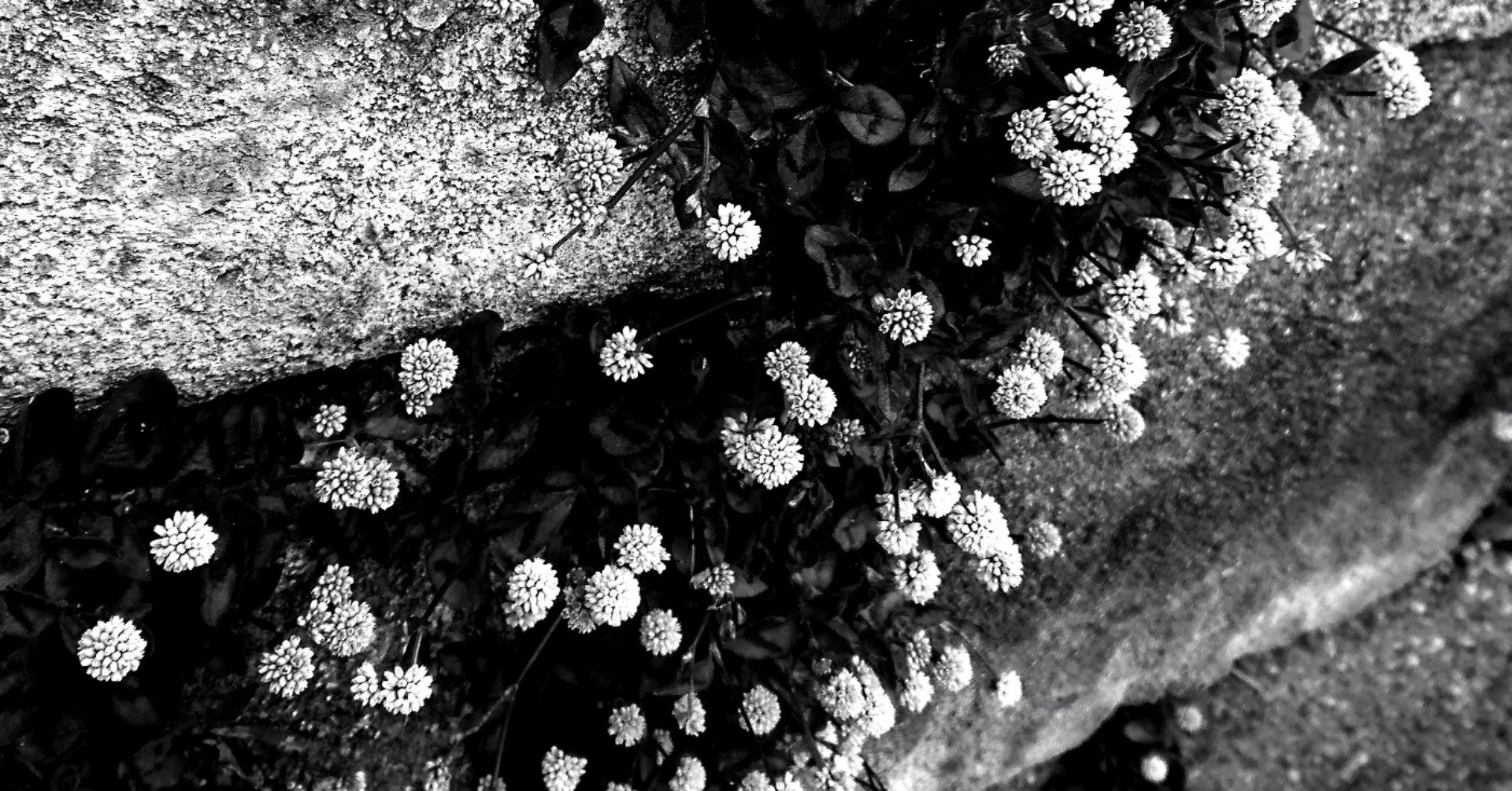 思春期に聴いてた音楽で形成されている話 As Ka Note