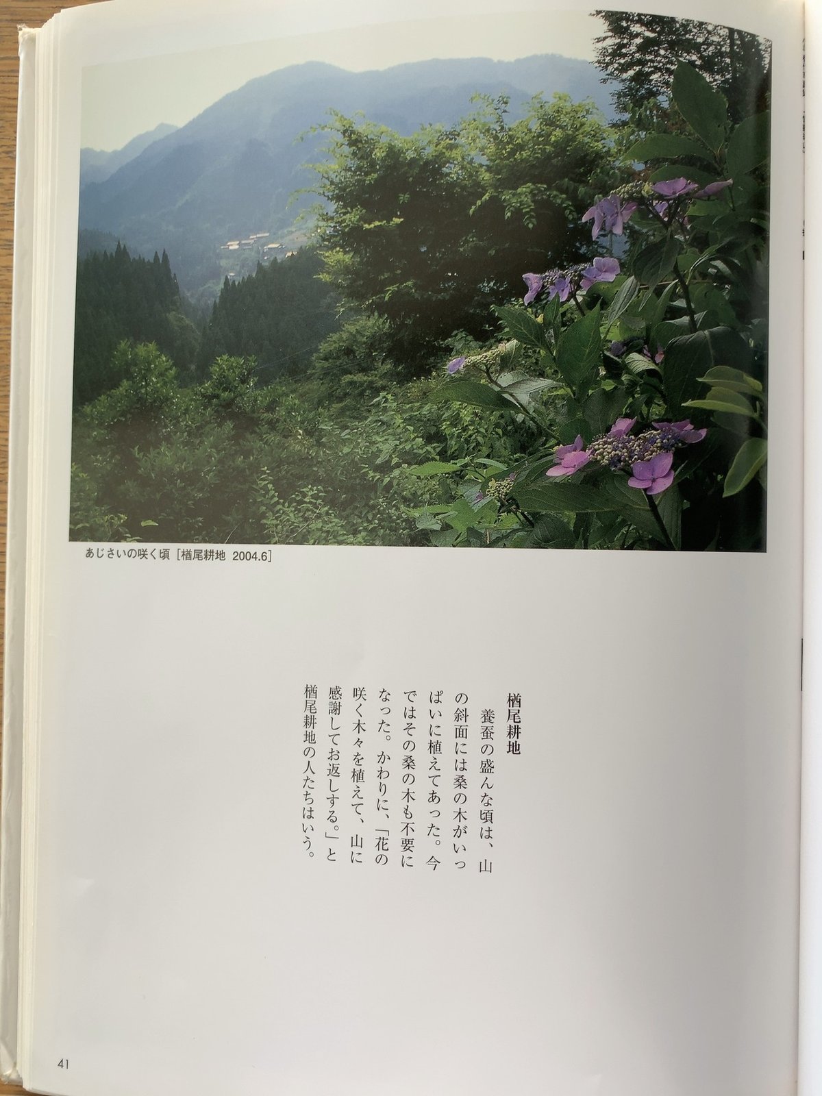 花のあとさき～ムツばあさんの歩いた道」【全時系列説明】NHK