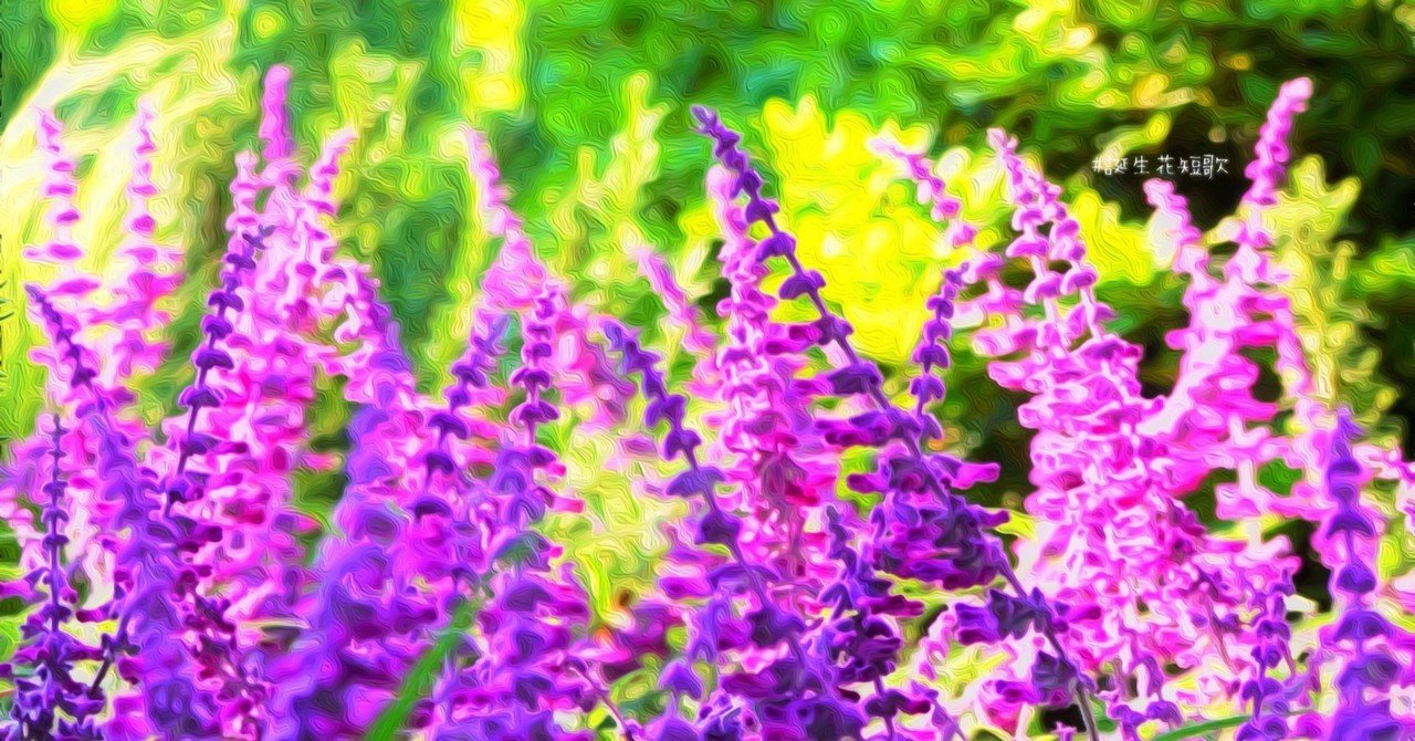 10月29日 誕生花はアメジストセージ 誕生花短歌 御子柴 流歌 Note 10月29日 誕生花はアメジストセージ 誕生花短歌 御子柴 流歌 Note