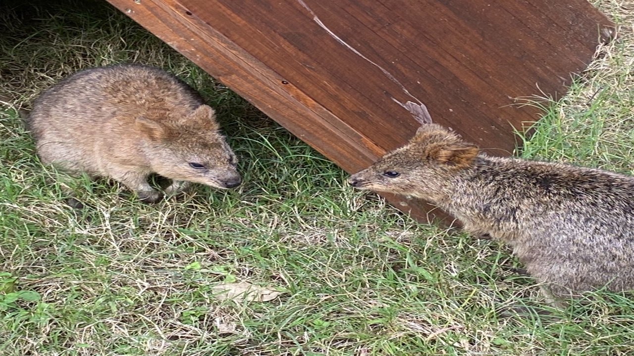 地球温暖化、海にゴミ捨て防止!!