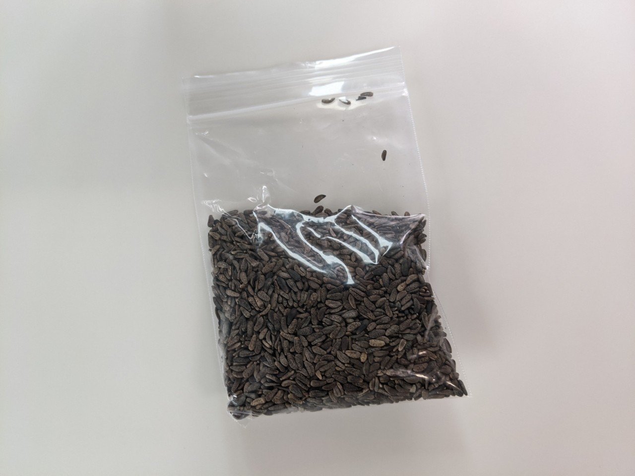 母乳トラブルにごぼうの種が効くらしい あんどうまりこ Note