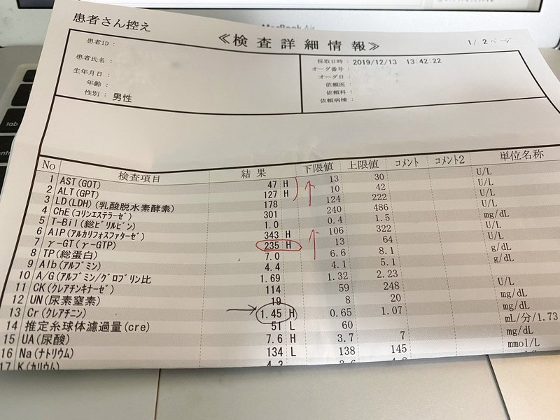 血液検査結果公開 Altとg Gtpの値を劇的に下げる方法 Mm Pilot Note
