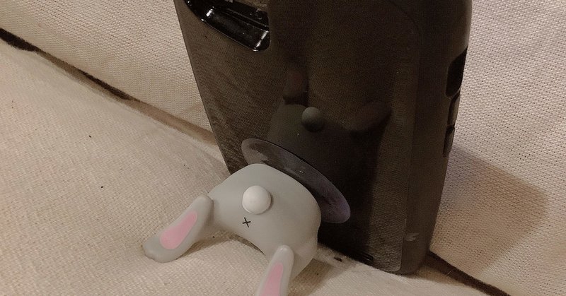 可愛いにも程がある 二月兎 Note