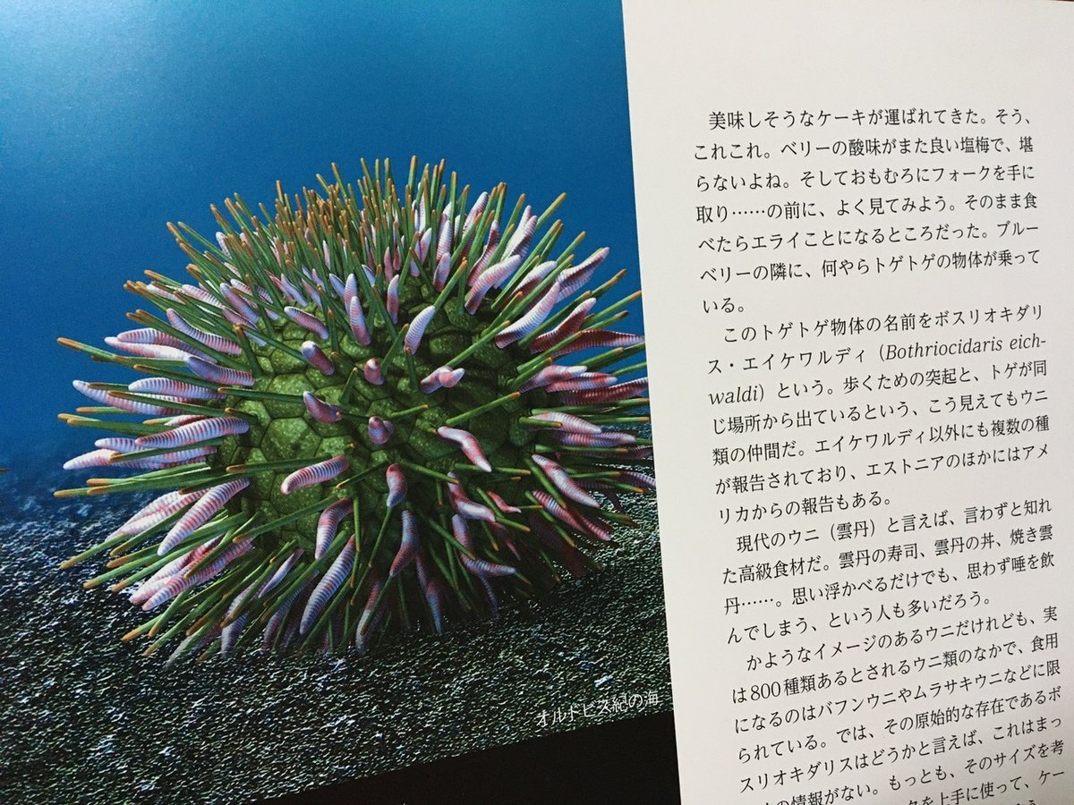 祝100冊目】【毎日読書感想文】リアルサイズ古生物図鑑 古生代編