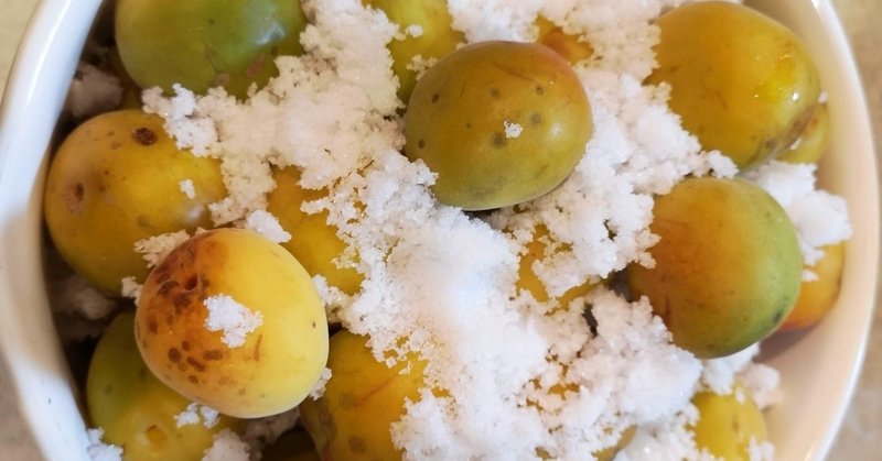 梅干しの作りかた備忘録 ゆきじ Note