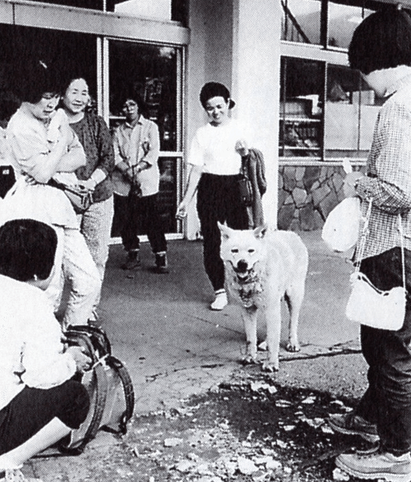 大分・九重登山口で登山者達を見守る犬の像 ～ ガイド犬「平治」は皮膚