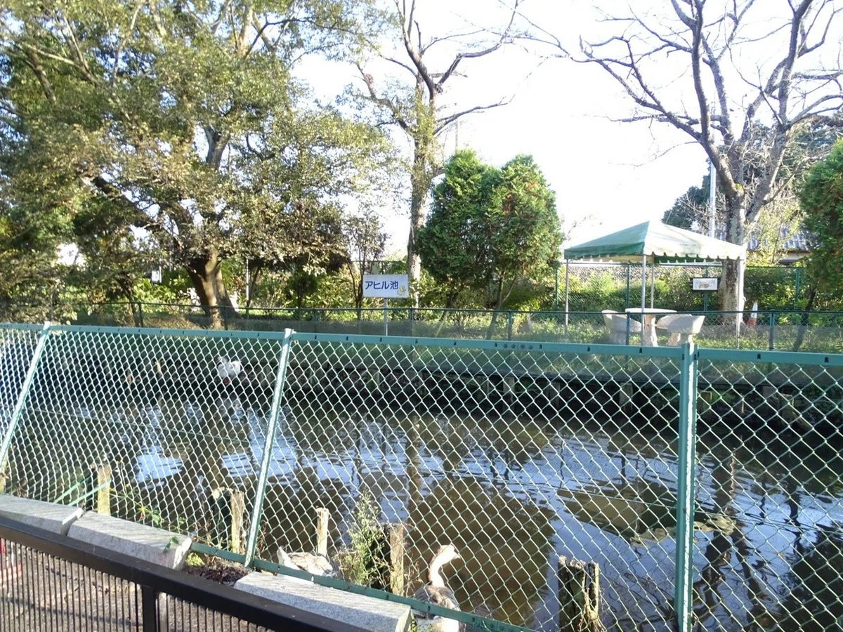 画像6
