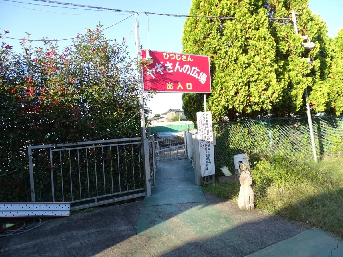 画像7