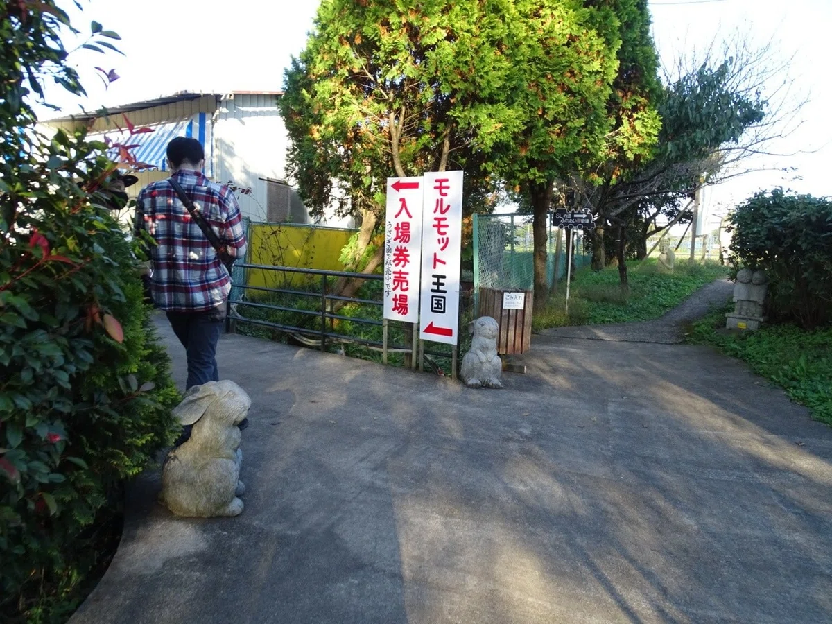 画像8