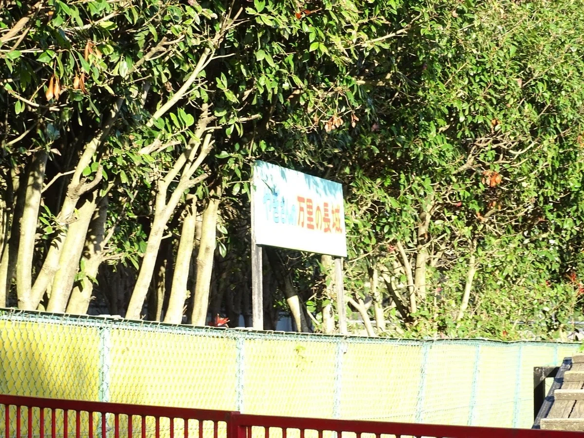 画像11