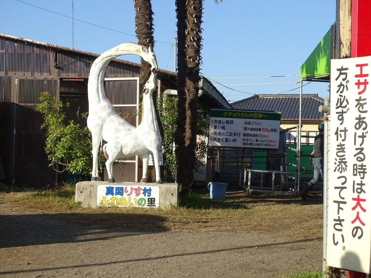 画像12