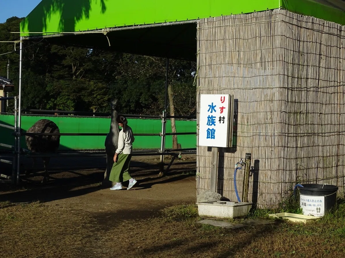 画像13