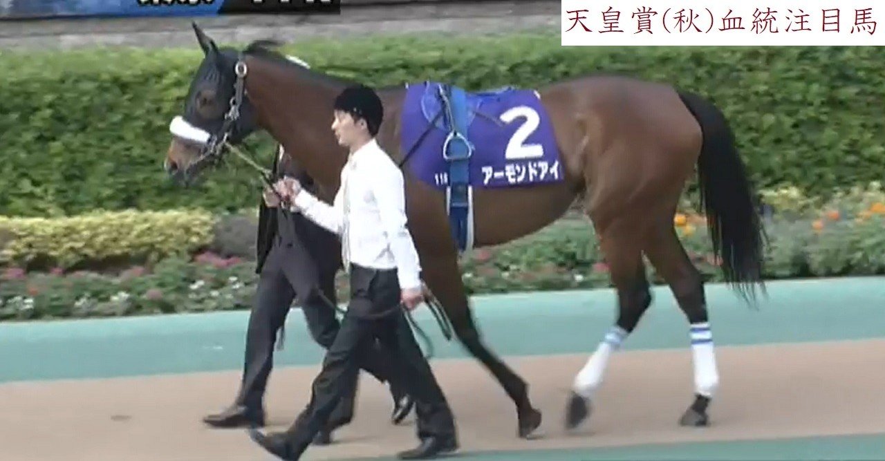 天皇賞 秋 血統注目馬 Yra 血統調査員 Note
