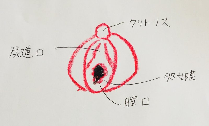 ラブラブ初体験のはずが処女膜の誤解により罵られた話 知っておきたい処女膜の謎 トゥルス カーラ キャバ嬢の母 Note ラブラブ初体験のはずが処女膜の誤解により罵られた話 知っておきたい処女膜の謎 トゥルス カーラ キャバ嬢の母 Note