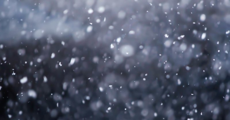 雪虫 ゆきむし という奇妙な虫の話 巨万の富男 公式 Standfm配信中 Note 雪虫 ゆきむし という奇妙な虫の話 巨万の富男 公式 Standfm配信中 Note
