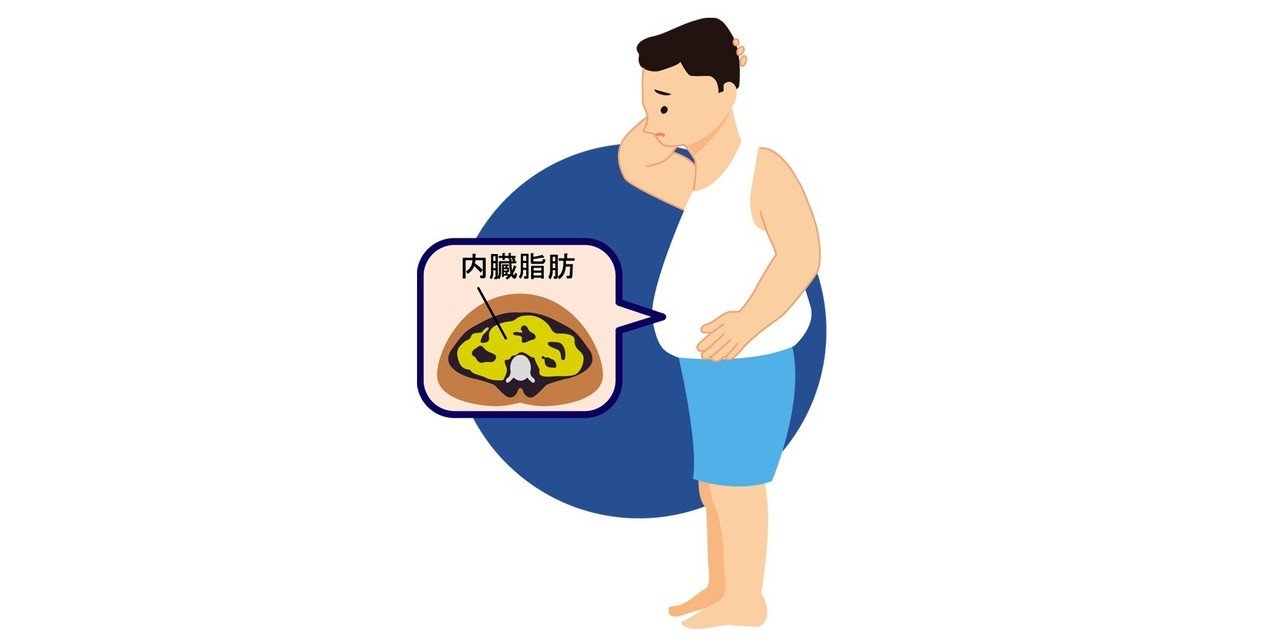 痩せていても中性脂肪が多いことも Yokoito イラスト Note 痩せていても中性脂肪が多いことも Yokoito イラスト Note