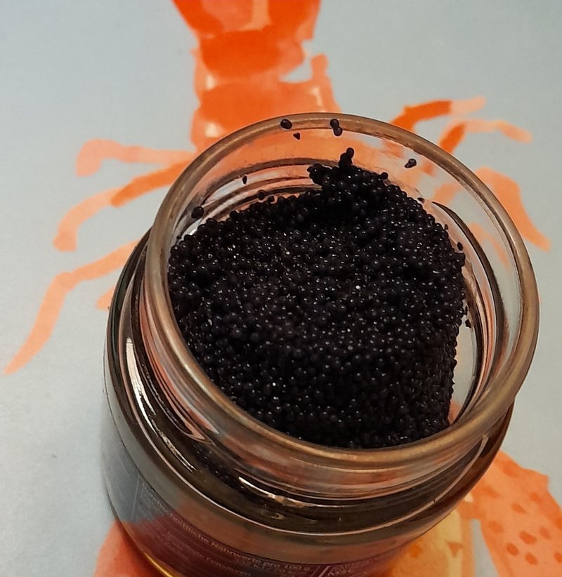 晩御飯はkuroのニシンの卵 黒い数の子 一瓶 2 19 Pezio Note 晩御飯はkuroのニシンの卵 黒い数の子 一瓶 2 19 Pezio Note