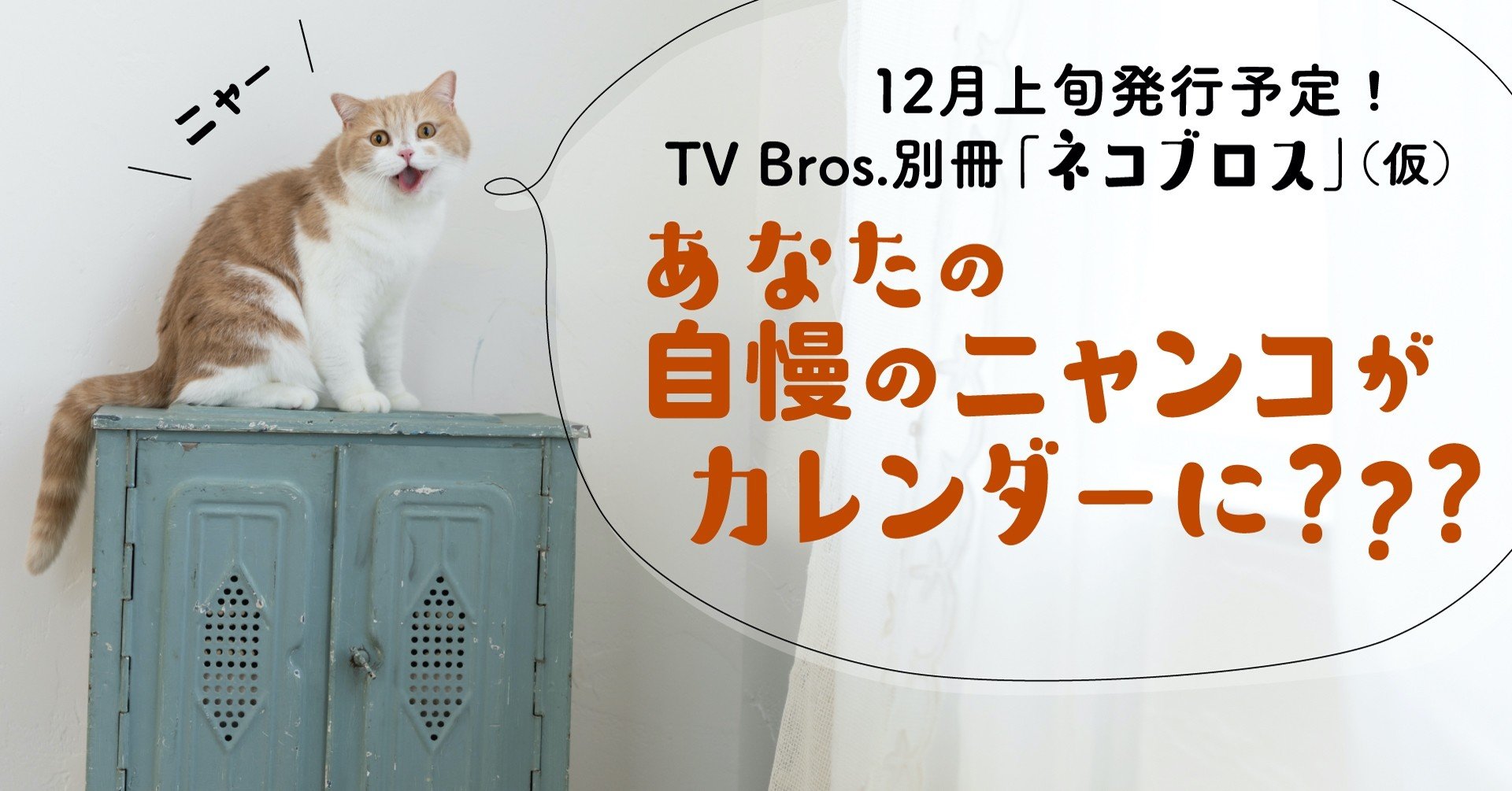 Tv Bros からまるまる ニャンコ な1冊が誕生 特典カレンダーにあなたの愛猫が掲載 Tv Bros テレビブロス Note