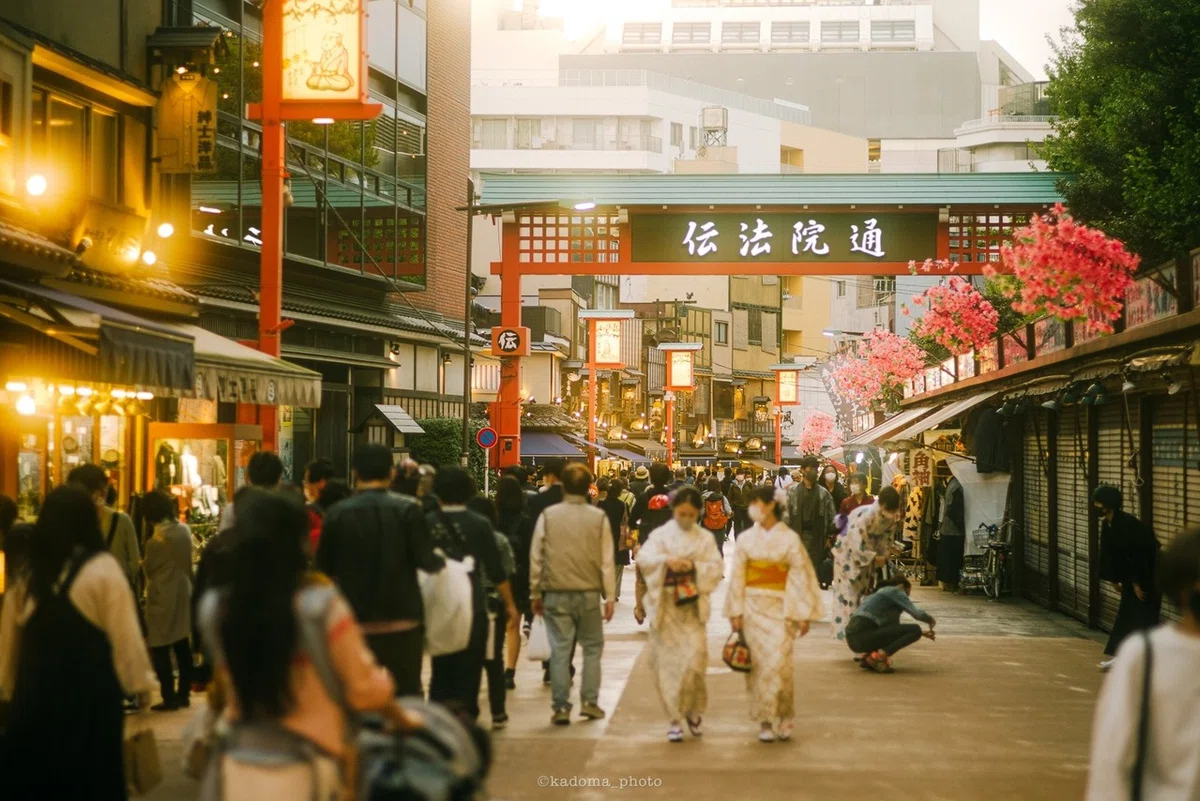 画像8