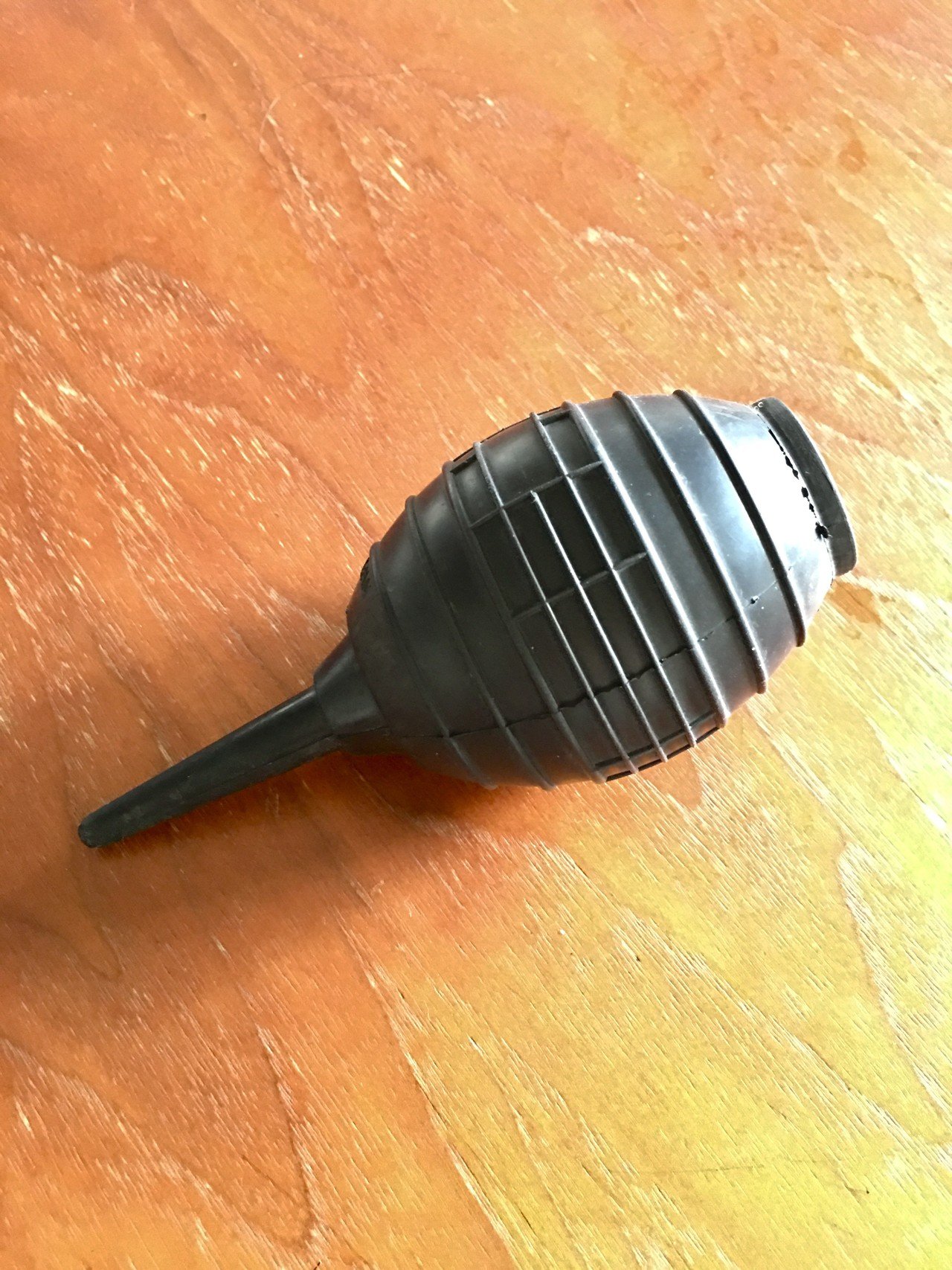 ブロワーでカメラの手入れをしていたら 息子と娘がやってきて ソレ なに とばかりに食いついたので すかさずシュコシュコ と空気をかけてあげたら 2人して大喜び 笑 最終的には 耳の穴にシュコシュコして しまうー Note