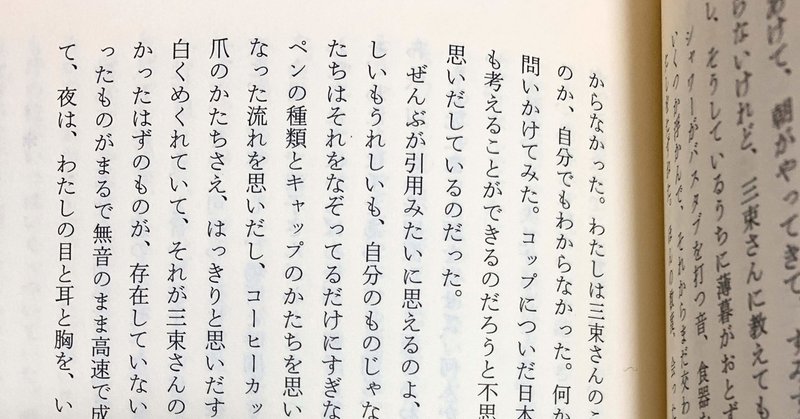 詩的で私的で死的な言葉に対する至適な指摘 Iruka Note