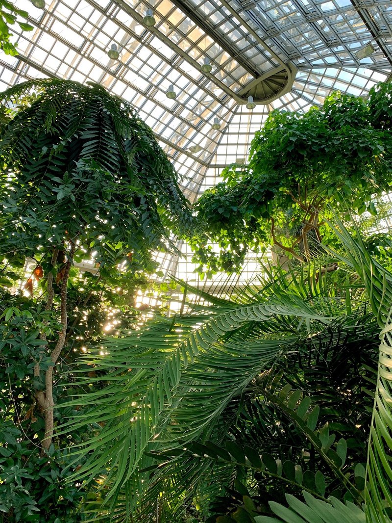 ガラスの王宮 ベルリン ダーレム植物園 よこたゆい Yui Yokota Note ガラスの王宮 ベルリン ダーレム植物園 よこたゆい Yui Yokota Note