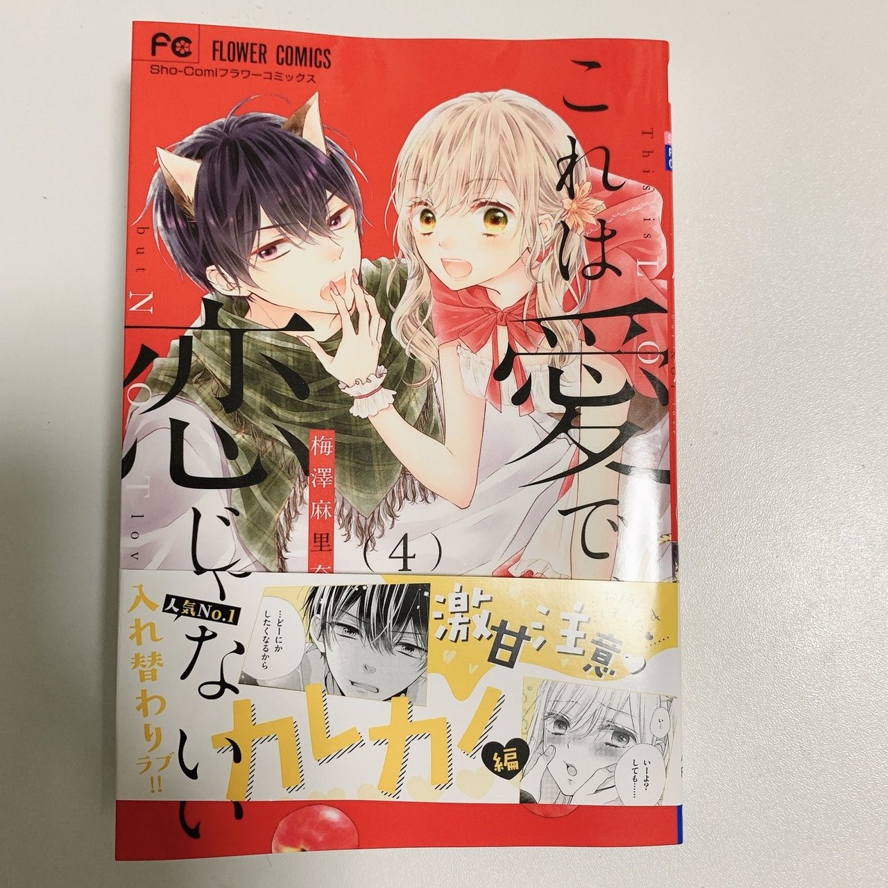 本の紹介「これは愛で、恋じゃない 4巻／梅澤麻里奈」｜ぺん子