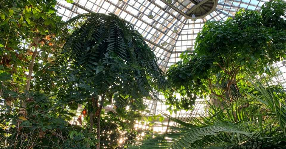 ガラスの王宮 ベルリン ダーレム植物園 よこたゆい Yui Yokota Note