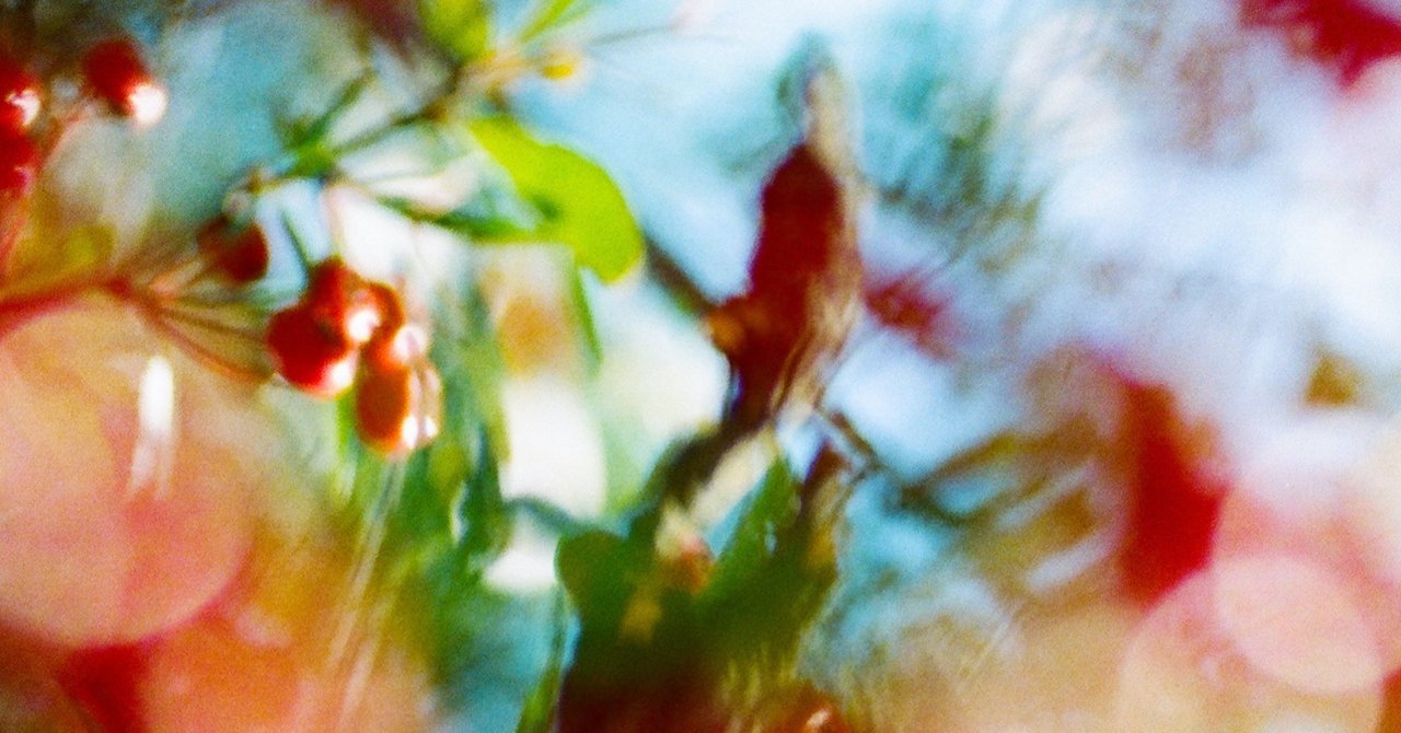 傑作水夏希 大月さゆインタビュー水夏希さん 大月さゆさんインタビュー ぷらっとphotoほーむ Note