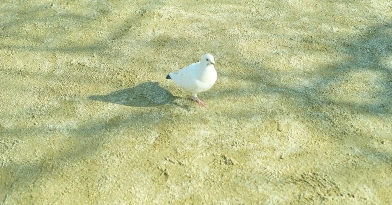 どん底には大地がある