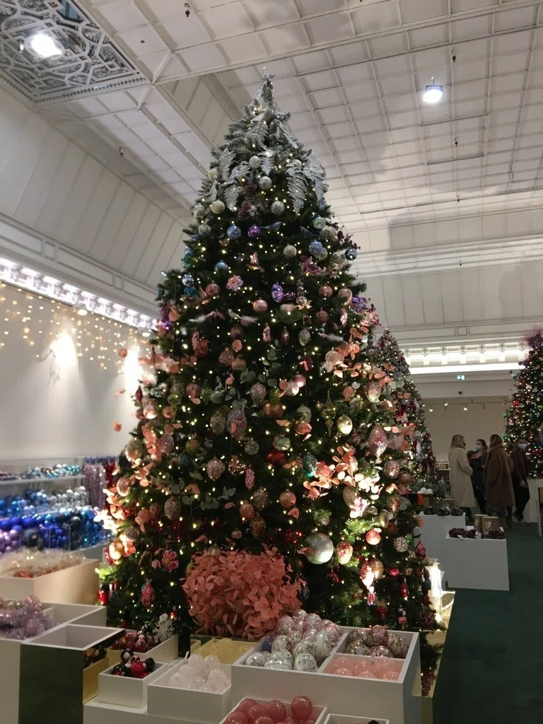 画像22
