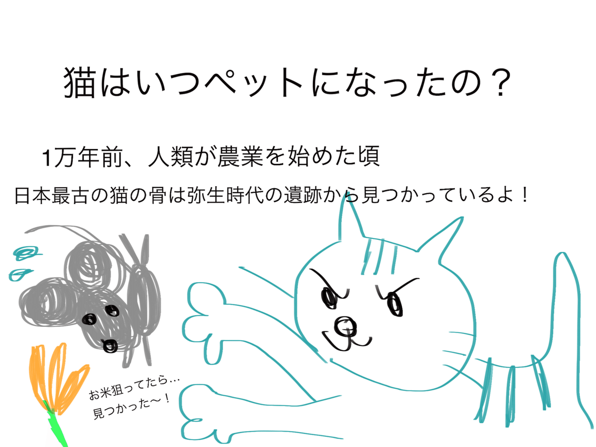 猫はいつから人と暮らし始めたの？｜『犬に中毒を起こす物質』獣
