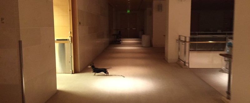 ブルックリン物語 29 Autumn Leaves 枯葉 前編 Senri Oe 大江千里 Note