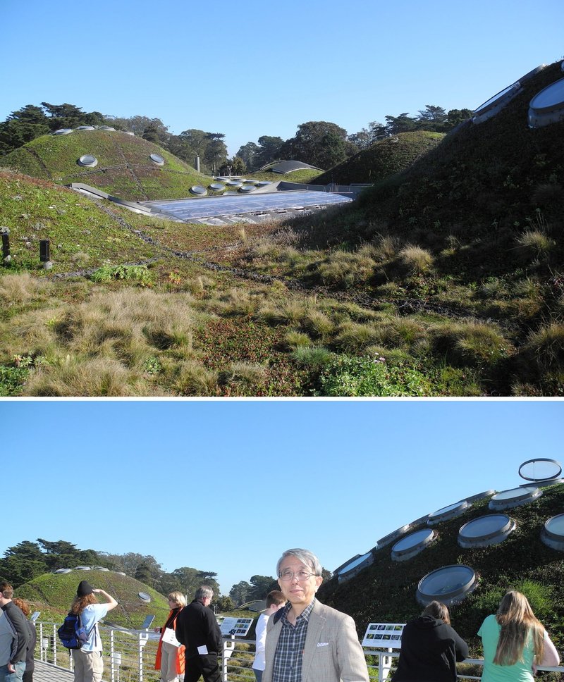 世界の自然史博物館 6 カリフォルニア科学アカデミー 国立沖縄自然史博物館設立準備委員会沖縄部会 Note 世界の自然史博物館 6 カリフォルニア科学アカデミー 国立沖縄自然史博物館設立準備委員会沖縄部会 Note
