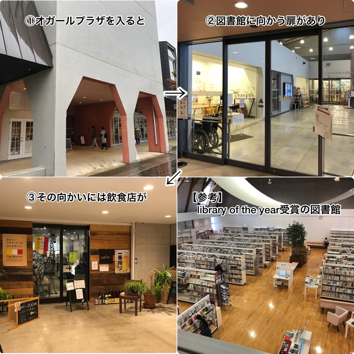 画像5