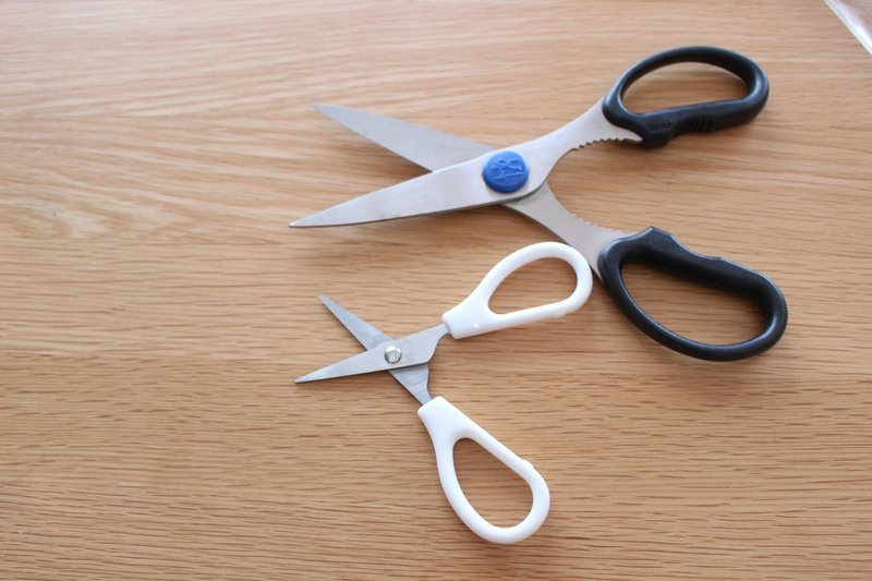 モノが増えると分かってるのにキャラ弁用はさみをあえて作ったしたたかな理由 Sayo Note