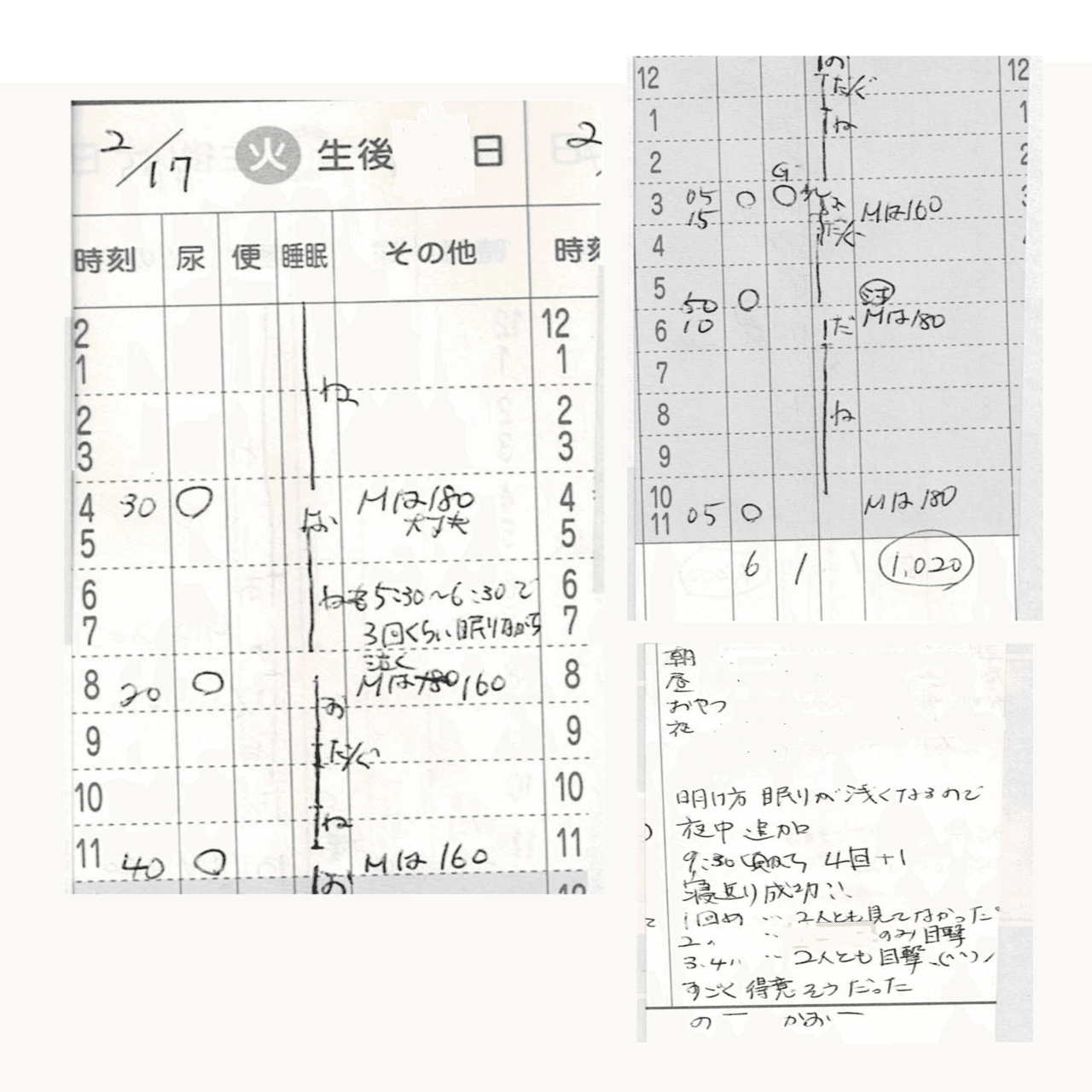 育児日記 多くの 初めて が詰まった宝物 株式会社自習ノート Note