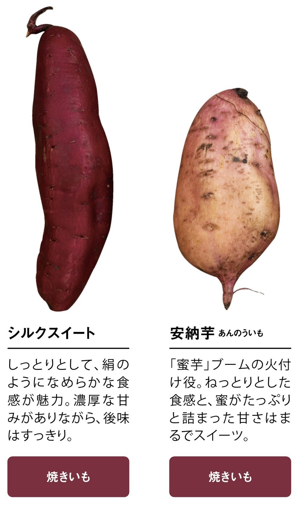 しっとり ねっとり ホクホク どれがお好きですか コープさっぽろの広報誌 Cho Co Tto ちょこっと Note しっとり ねっとり ホクホク どれがお好きですか コープさっぽろの広報誌 Cho Co Tto ちょこっと Note